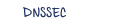 Checking DNSSEC Validation